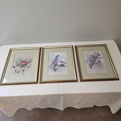 F. Massa Signed Bird Prints (UB-JS)