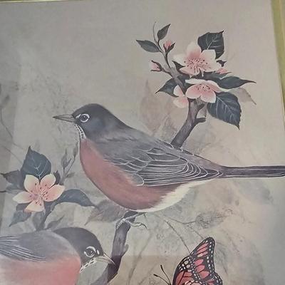 F. Massa Signed Bird Prints (UB-JS)
