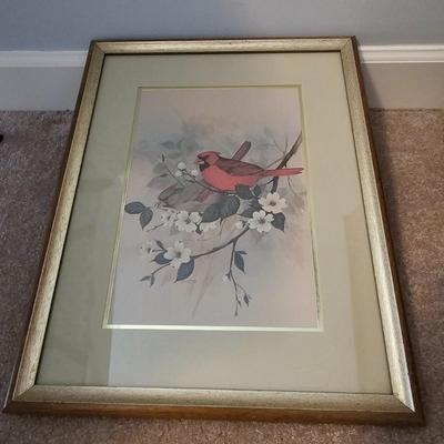 F. Massa Signed Bird Prints (UB-JS)