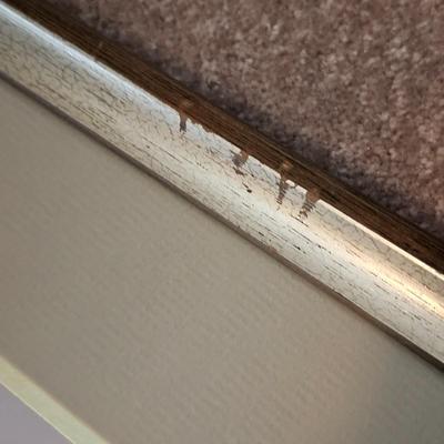 F. Massa Signed Bird Prints (UB-JS)