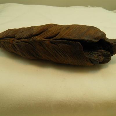 Nature Sculpted Primitive Art Tree Root 2.5"x7"