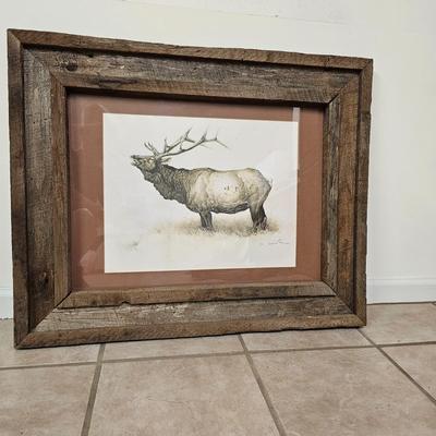 Bull Elk Wood Framed & Signed Print   (G-JS)