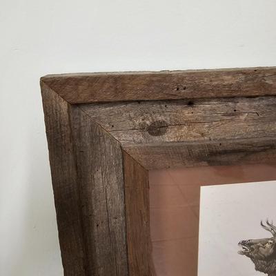 Bull Elk Wood Framed & Signed Print   (G-JS)