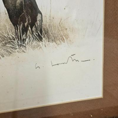 Bull Elk Wood Framed & Signed Print   (G-JS)