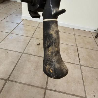 Fishing Rods & Gear  (G-JS)