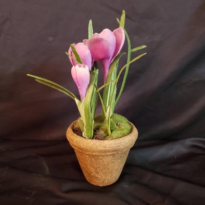 Garden Decor with Marjolein Bastin (D-KD)