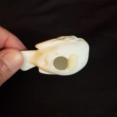 Garden Decor with Marjolein Bastin (D-KD)