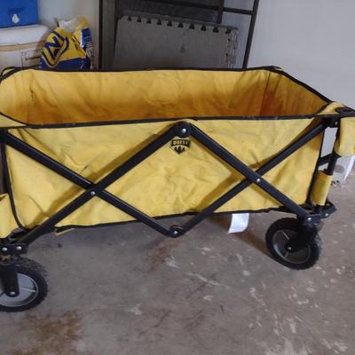 Collapsible Pull Cart with Carry Case