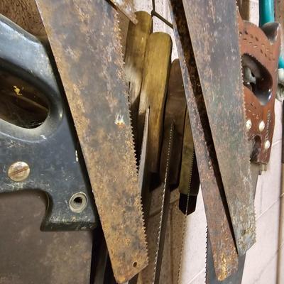 Collection of Handsaws, Hacksaws & Tree Saws  (WS-JS)