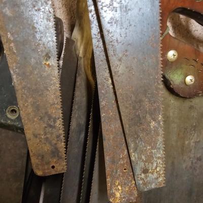 Collection of Handsaws, Hacksaws & Tree Saws  (WS-JS)