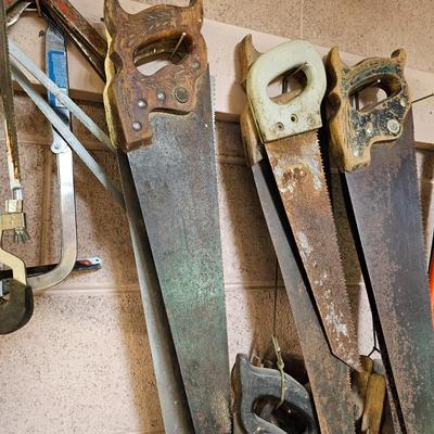 Collection of Handsaws, Hacksaws & Tree Saws  (WS-JS)