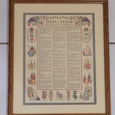 Framed 'Spots and Stains; How to Lead a Stainless Life' Framed Print