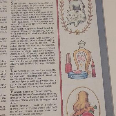 Framed 'Spots and Stains; How to Lead a Stainless Life' Framed Print