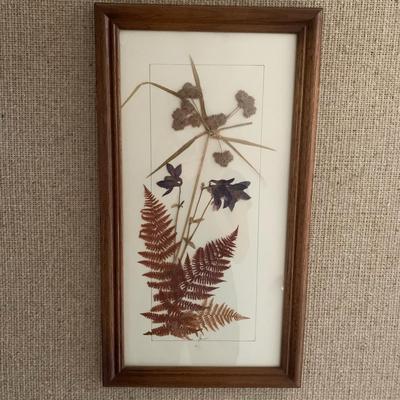 Pressed Flowers in frame