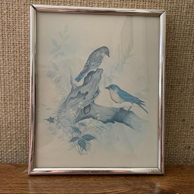 Massa Bird Print