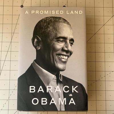 A Promised Land By Barack Obama & BROKEN GOVERNMENT