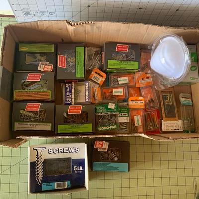 Various type of Screws Set