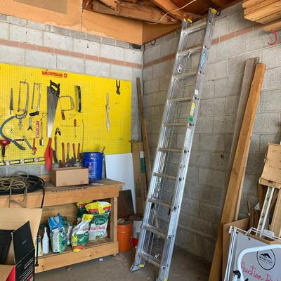 Werner Job-Master Ladder D1220-2