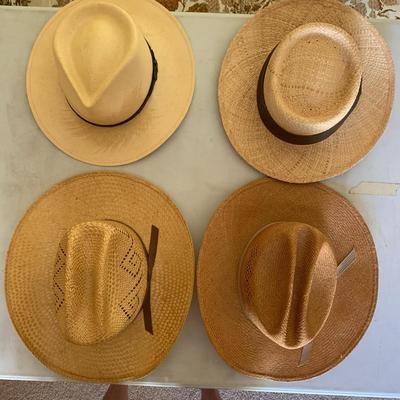 4 Variant Type Classic Straw Hat