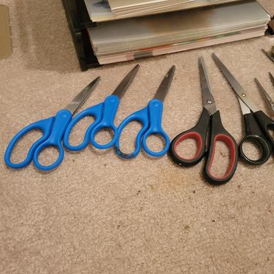 Card Stock and Other Office Supplies (O-DW)