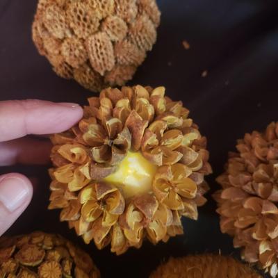 Metal Lamp and Decorative Bowl (GR-KD)