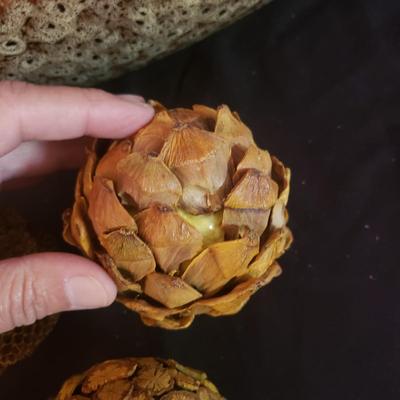 Metal Lamp and Decorative Bowl (GR-KD)