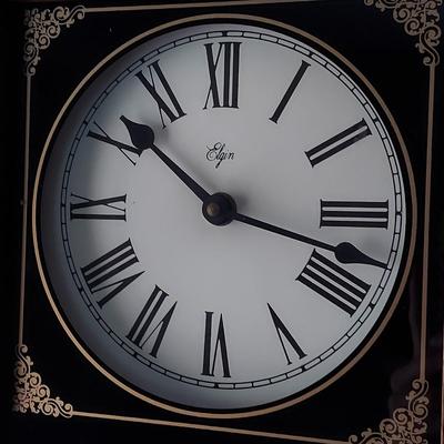 Elgin Regulator Pendulum Wall Clock (BR1-BBL)