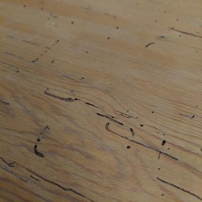 Farmhouse Style Shelf and Table (GR-BBL)