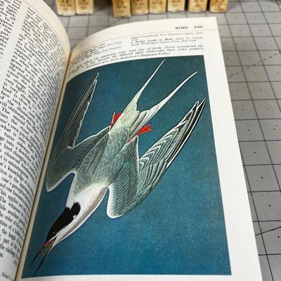 Audubon Encyclopedia Series 