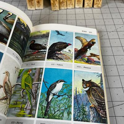 Audubon Encyclopedia Series 