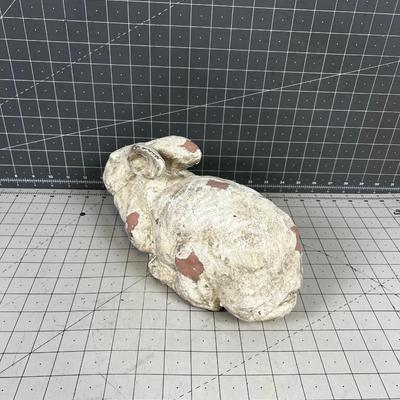 Rabbit