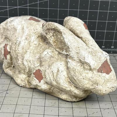 Rabbit