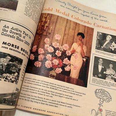Yup!  2 More Colorado Gold Rush Centennial Books