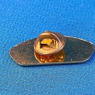 ENAMELED B.S.A. GREAT SALT LAKE COUNCIL UTAH PIN