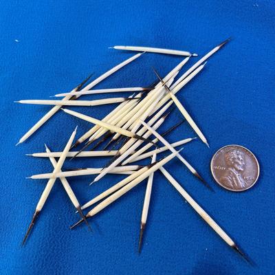 REAL PORCUPINE QUILLS X 32