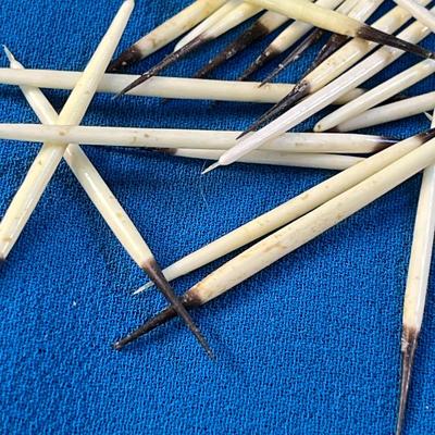 REAL PORCUPINE QUILLS X 32