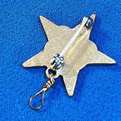 B.S.A. STAR SCOUT PIN