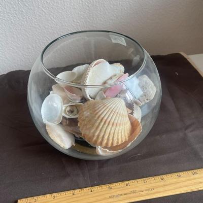 GLASS BOWLS with SEASHELLS - Set of 2