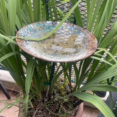 GARDEN PLATE