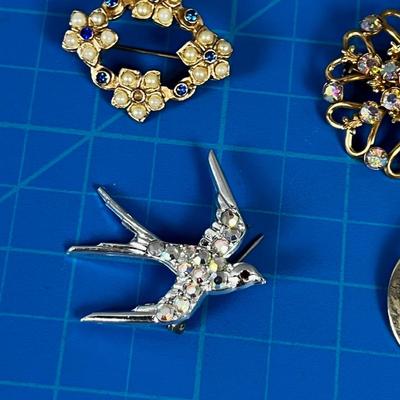 Collection of (5)Broches: Rhinestones, Turtle, Bird Etc.