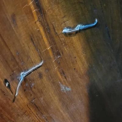 Antique Japanese Rice Bucket