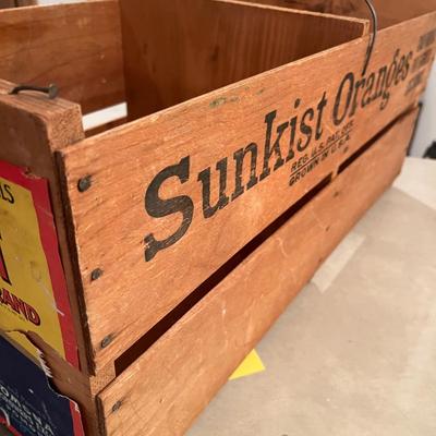 Parrot Sunkist Orange Crate