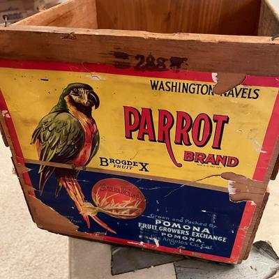 Parrot Sunkist Orange Crate