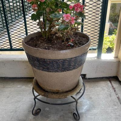 POTTED PLANT