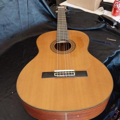 WALDEN ACUSTIC GUITAR