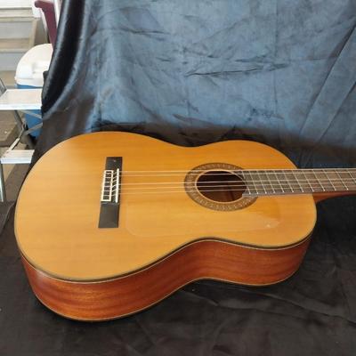 WALDEN ACUSTIC GUITAR