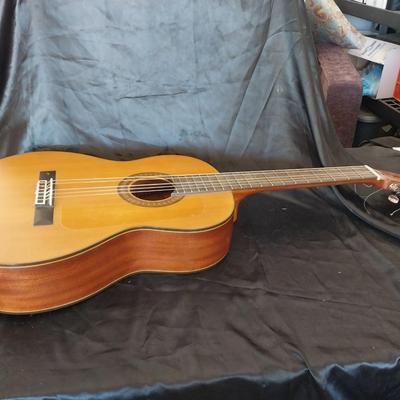 WALDEN ACUSTIC GUITAR