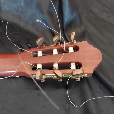 WALDEN ACUSTIC GUITAR