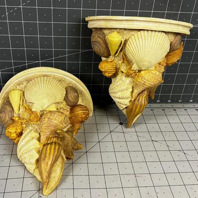 Set of Resin  Sea Shell Sconce