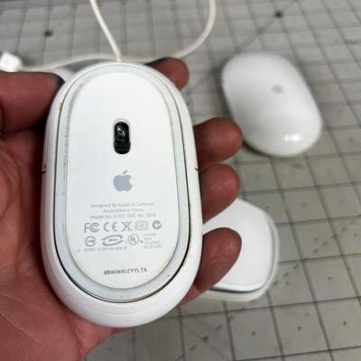 Apple Mice Times 4